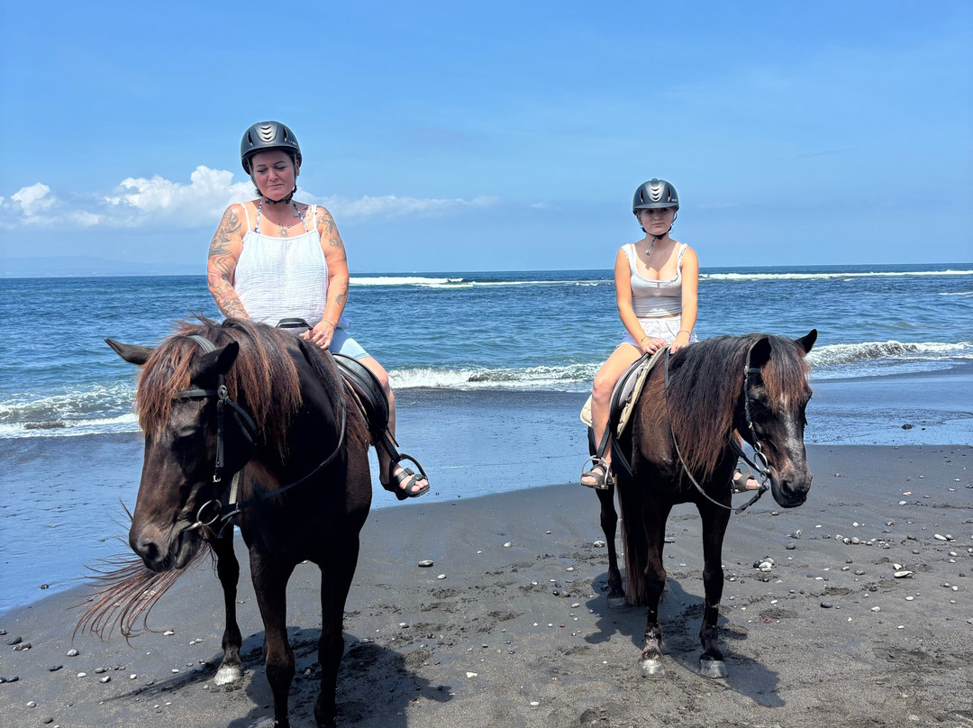 Suweca Bali Tour-南湾必去景点