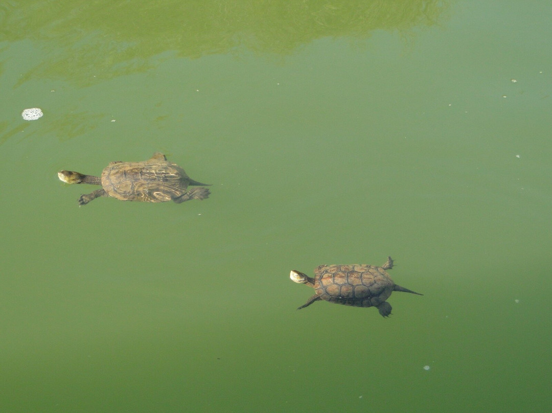 Alquevatours-Moura必去景点
