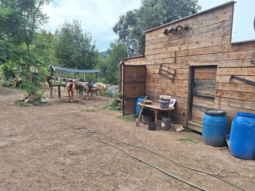 Ranch tavagna cavallu-Talasani必去景点