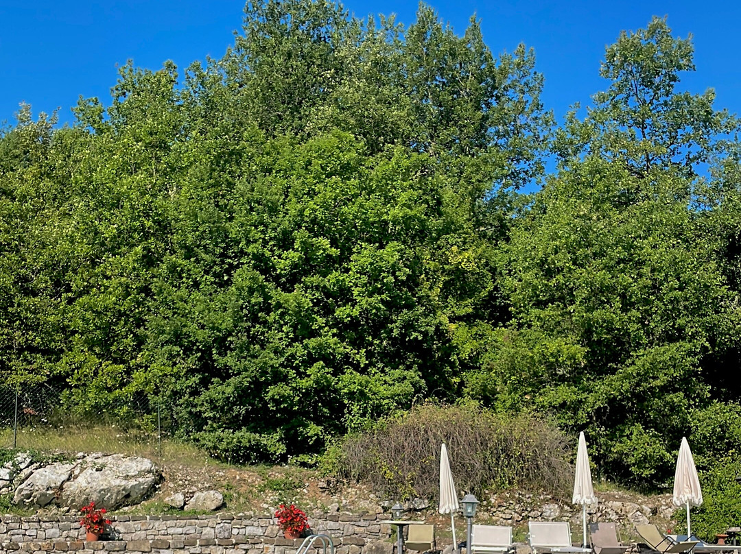 Hotel Le Pozze di Lecchi主图