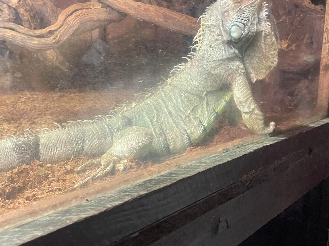 Zoo de Mescoules-Mescoules必去景点