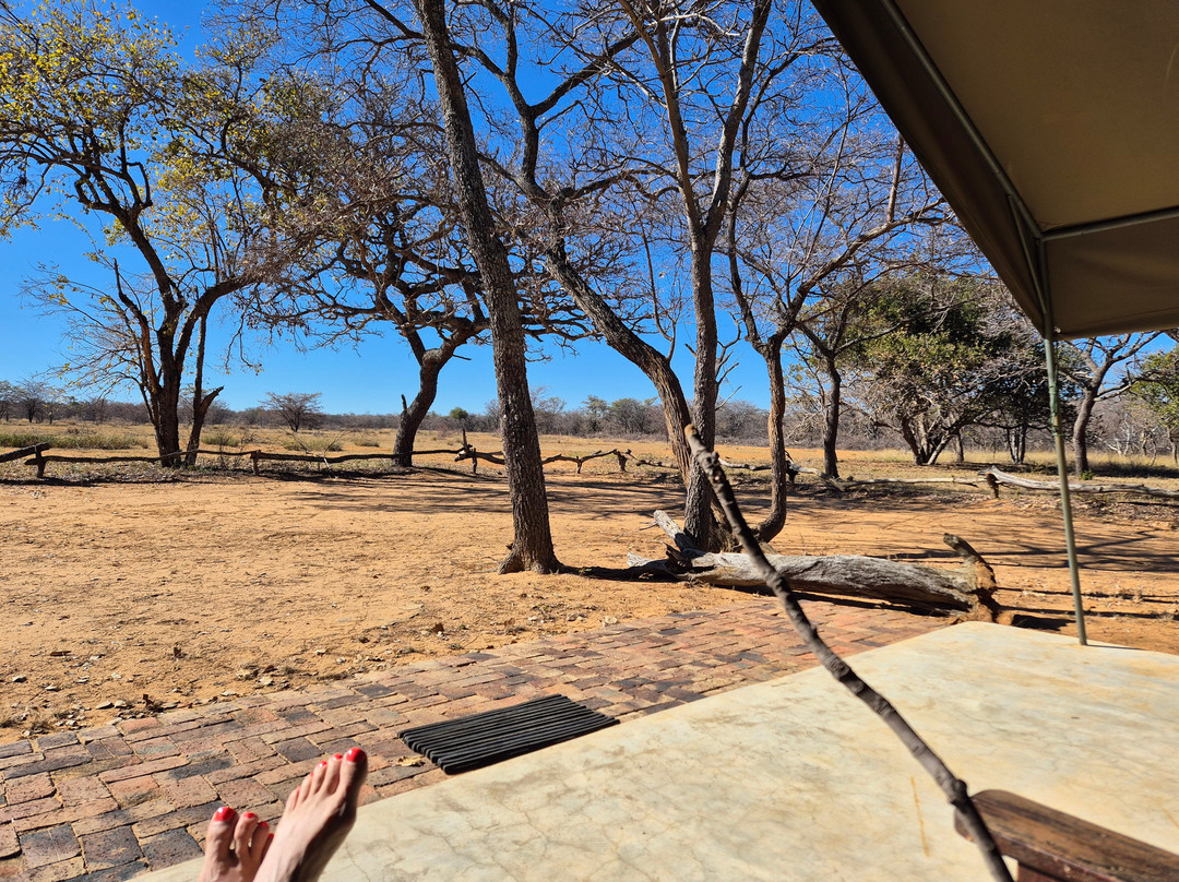 Limpopo Bushveld Retreat