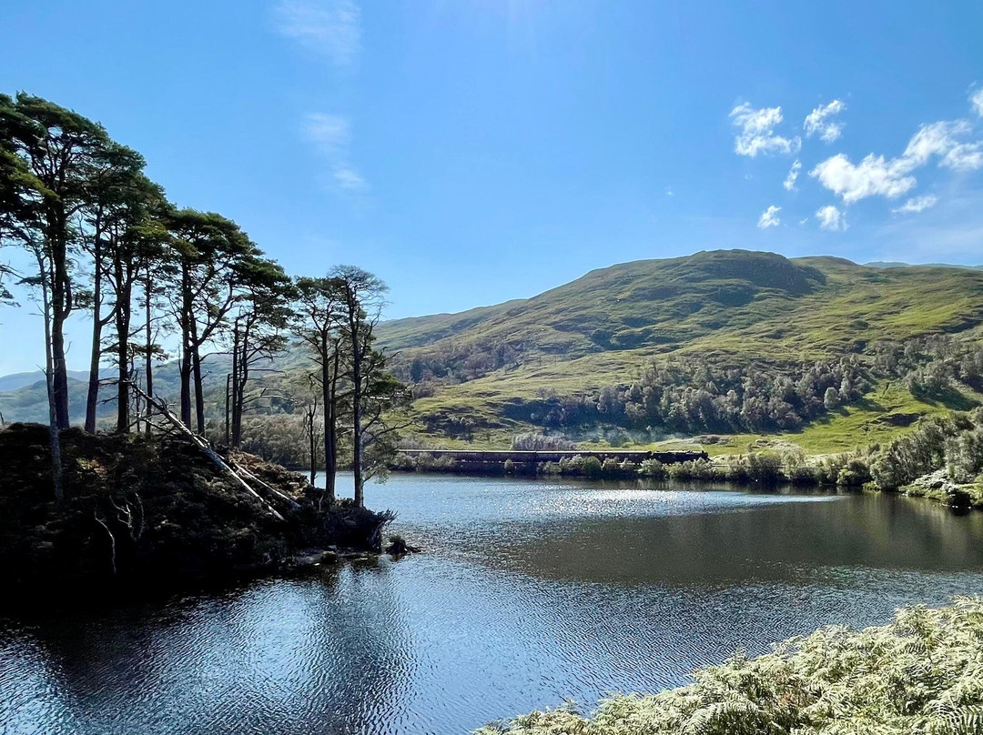 Eilean Na Moine. Dumbledore's Grave-Glenfinnan必去景点