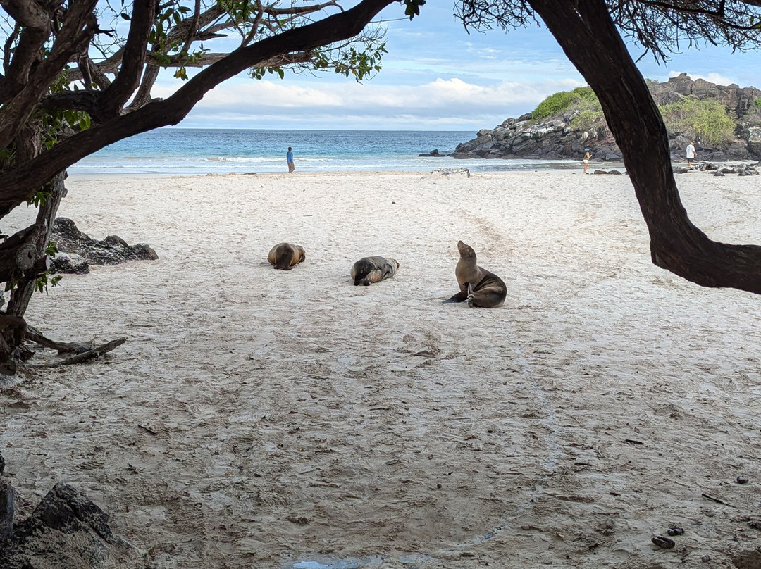 Puerto Chino Beach-圣克里斯托瓦尔必去景点