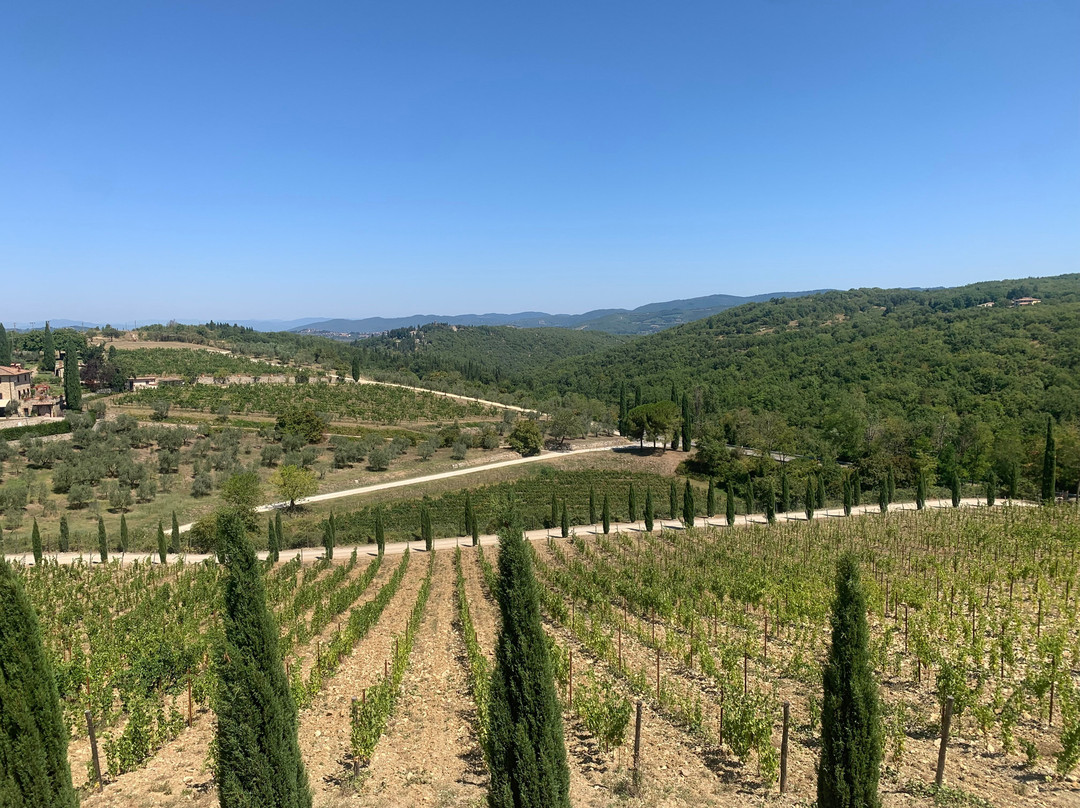 Poggio Amorelli-卡斯特利纳－因基安蒂必去景点