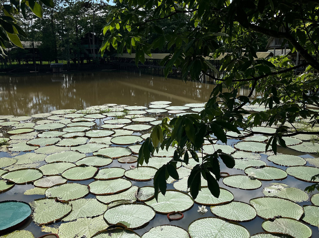 Amazon Tour-莱蒂西亚必去景点