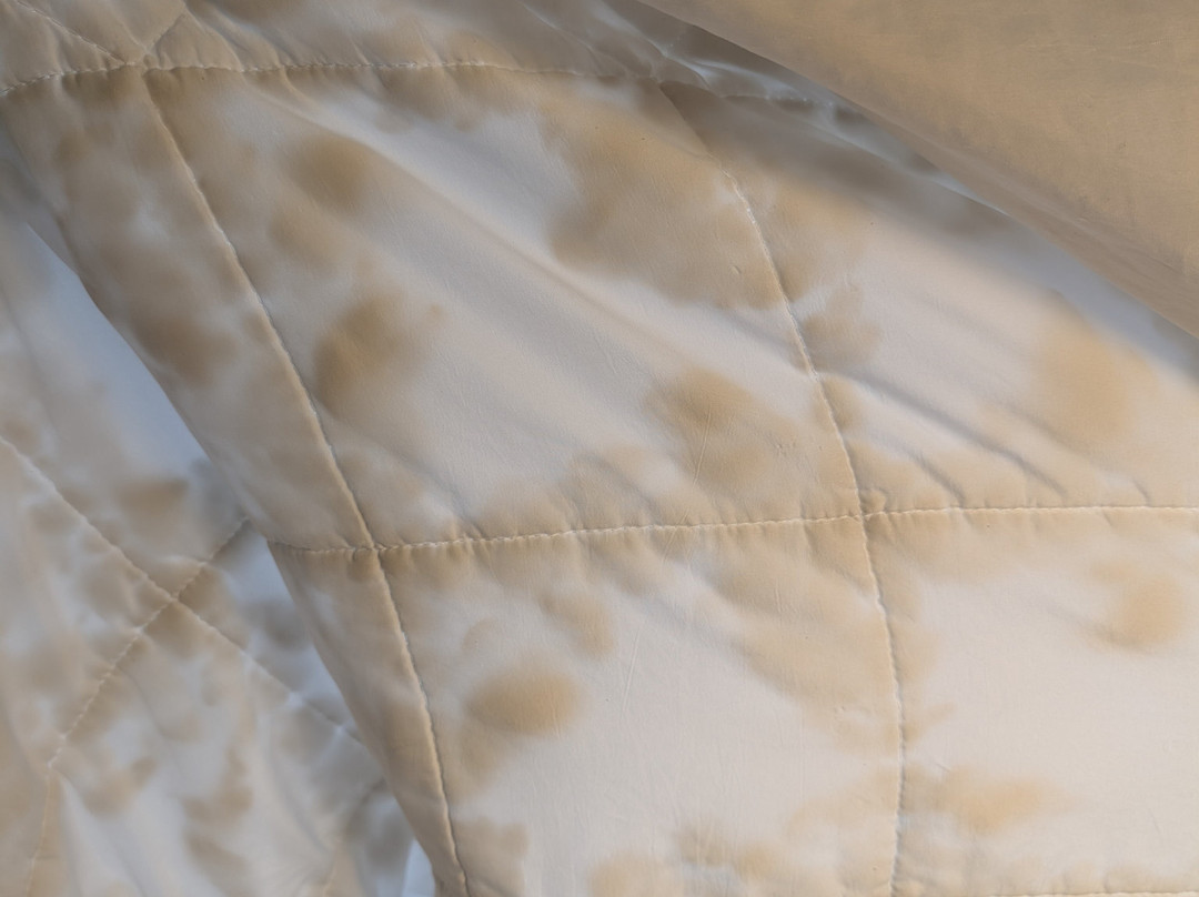 Home2 Suites by Hilton Stow Akron主图