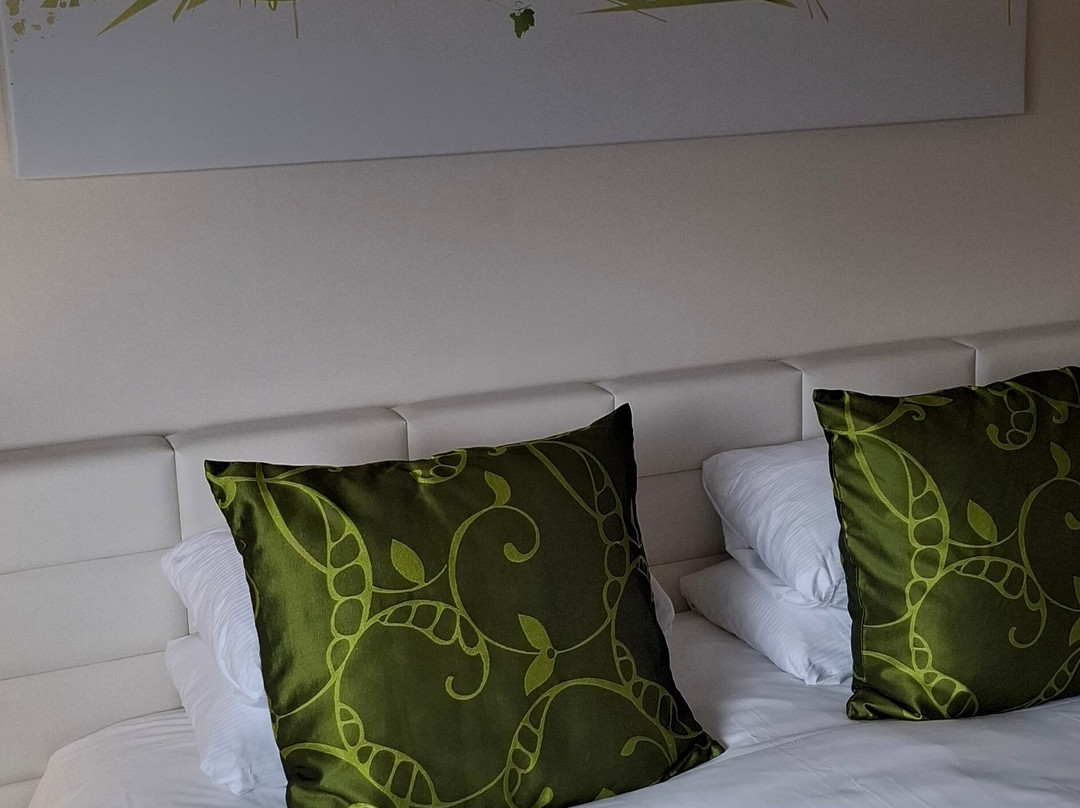 Best Western Plus Hôtel Le Rhénan主图