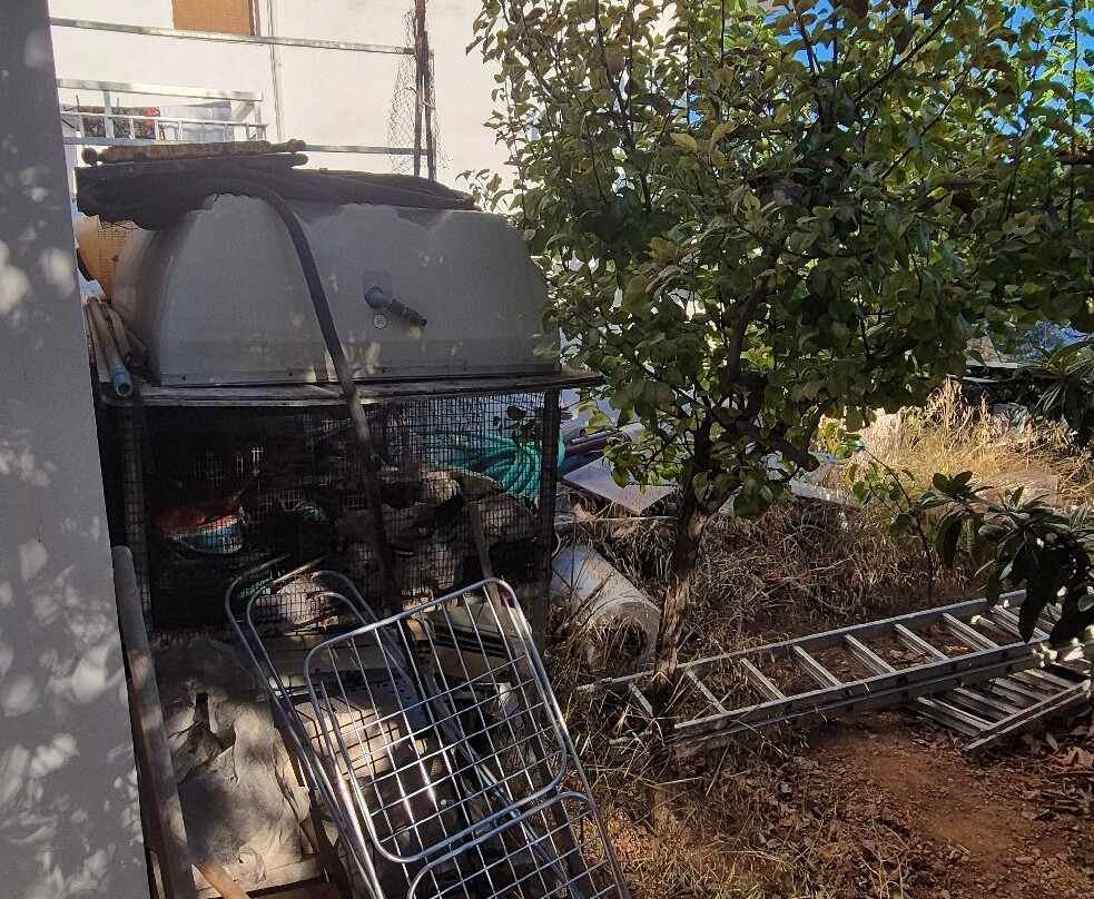 瓦萨洛拉斯酒店主图