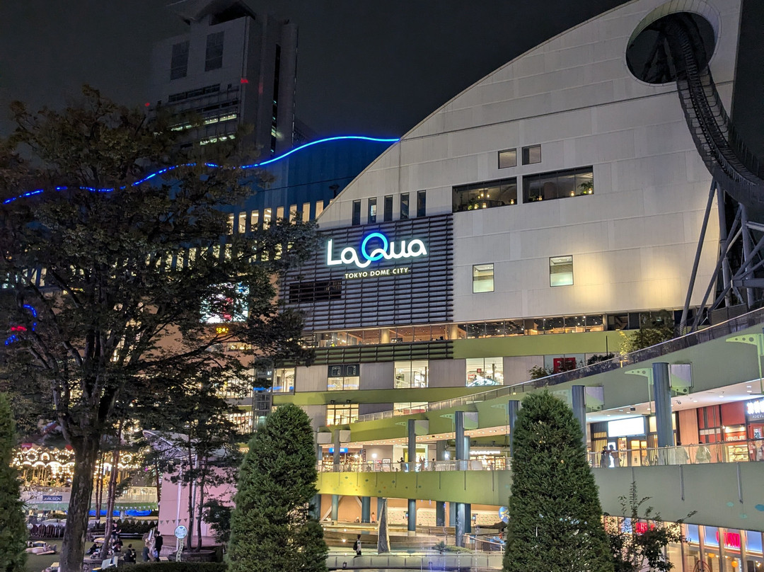 Tokyo Dome City Attractions-文京区必去景点