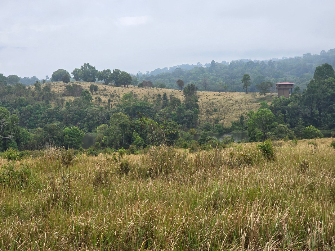 Khao Yai National Park-北丕必去景点