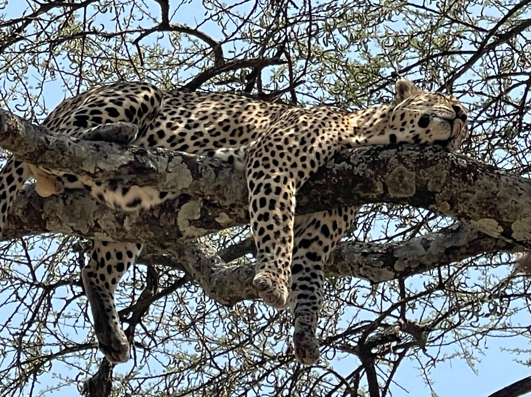 Sound Of Tanzania Explores-阿鲁沙必去景点