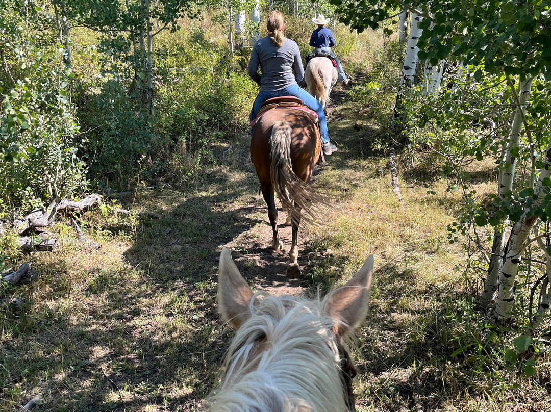 Del's Triangle 3 Ranch-Clark必去景点