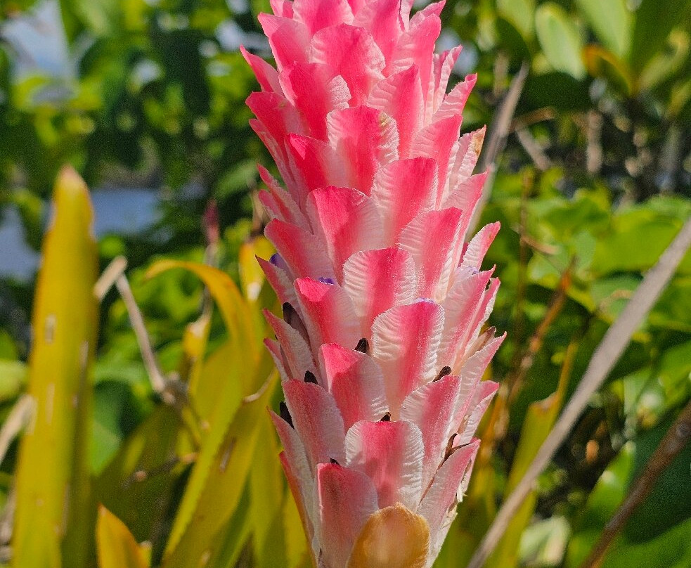 Capivara Trail-瓜拉帕里必去景点