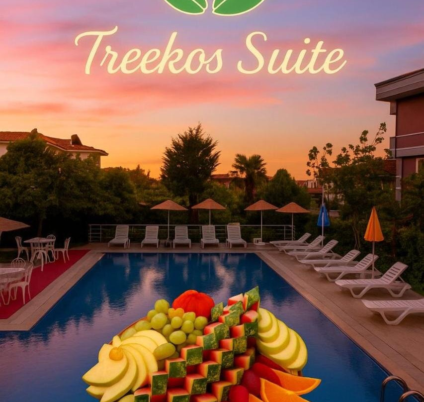 Treekos Suite主图