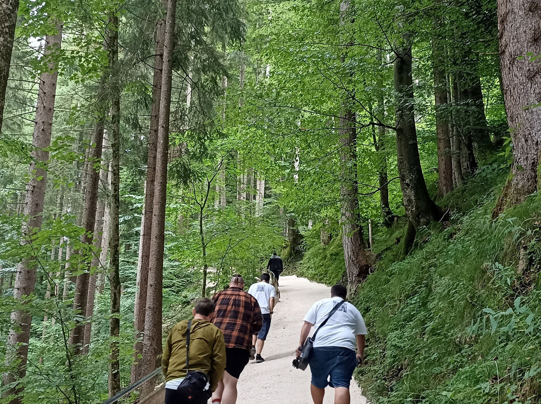 Freizeitpark Ruhpolding-Ruhpolding必去景点