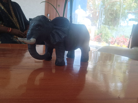 Tuskers Hill by Poppys Anaikatti主图