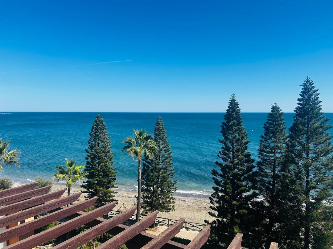 Elba Estepona Gran Hotel & Thalasso Spa主图