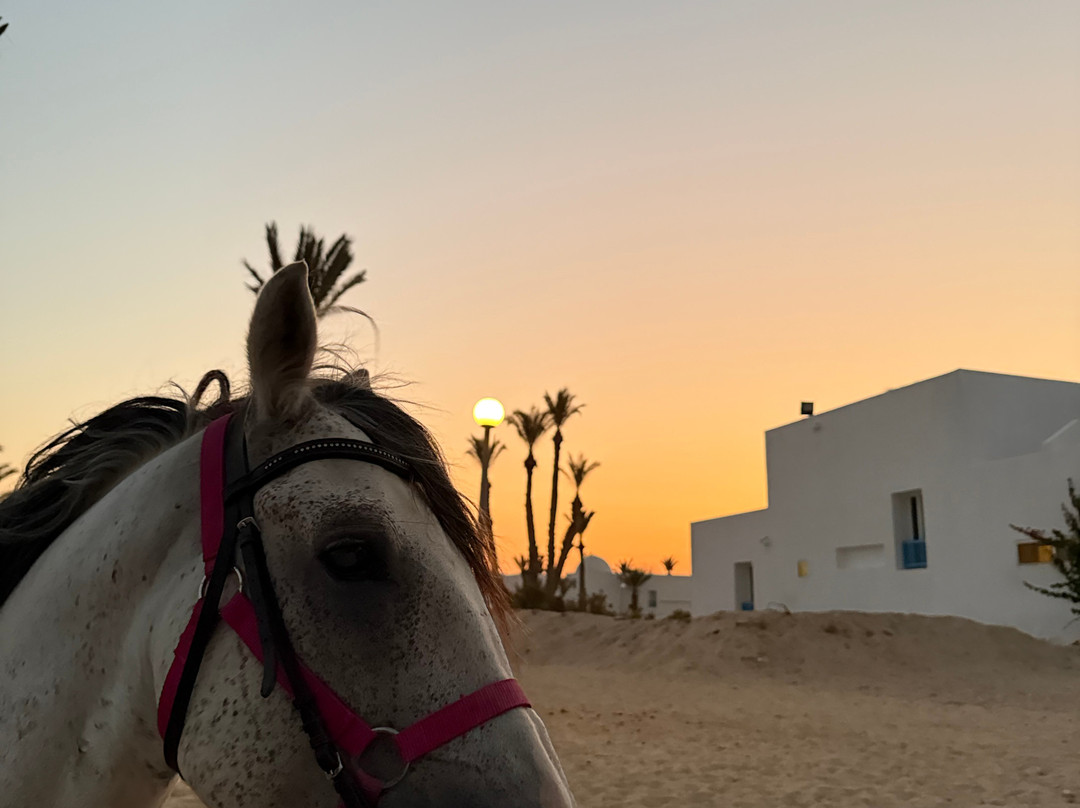 Nour Equestre Djerba-Djerba Midun必去景点
