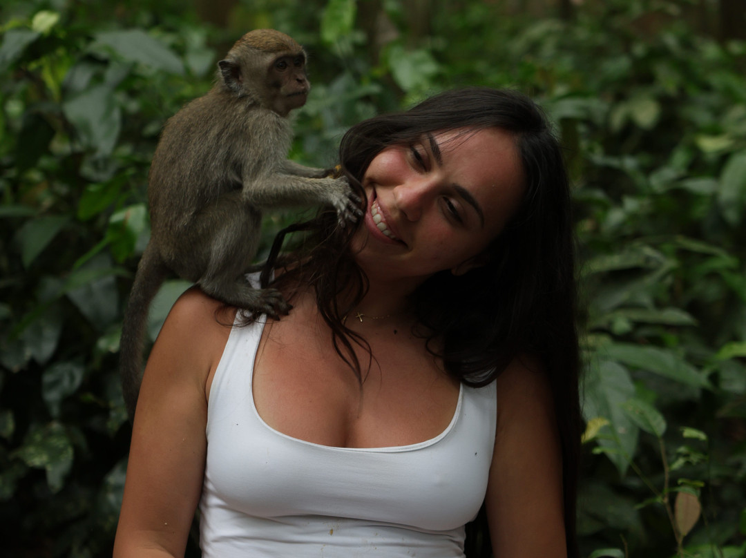 Japa Bali Tours-乌布必去景点