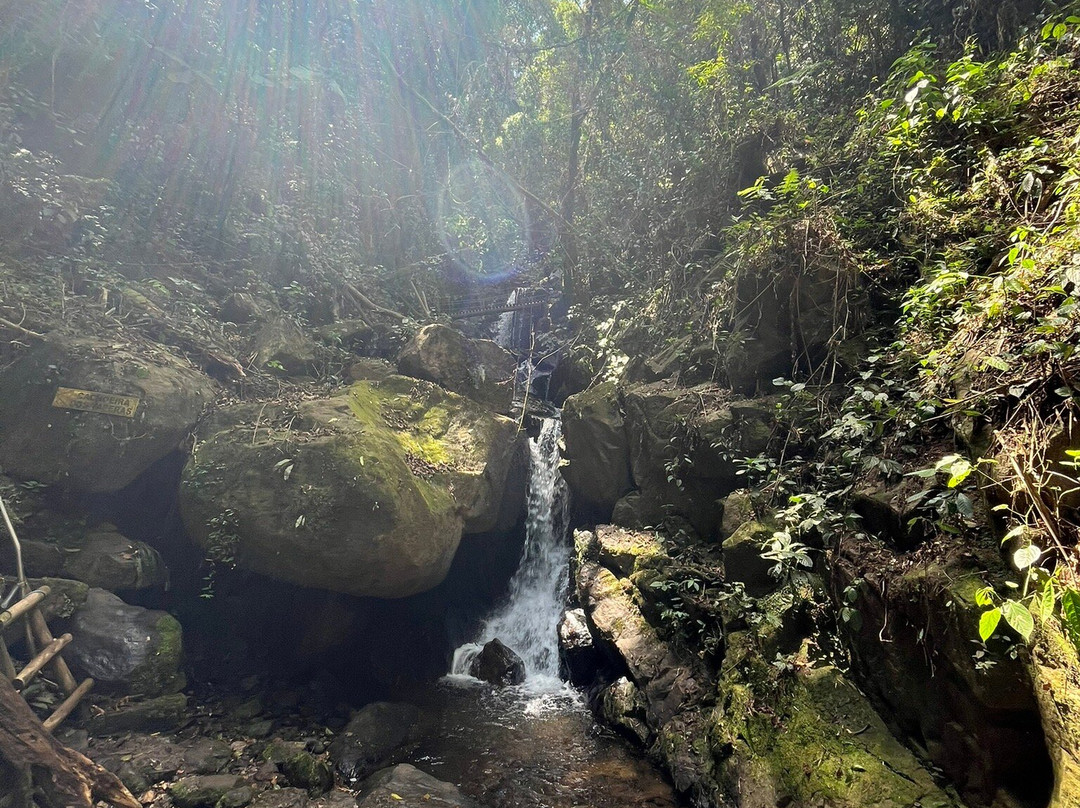 Espaço Garden Margarida-Sao Francisco Xavier必去景点