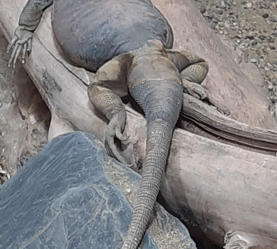 Wasserstern-因戈尔施塔特必去景点