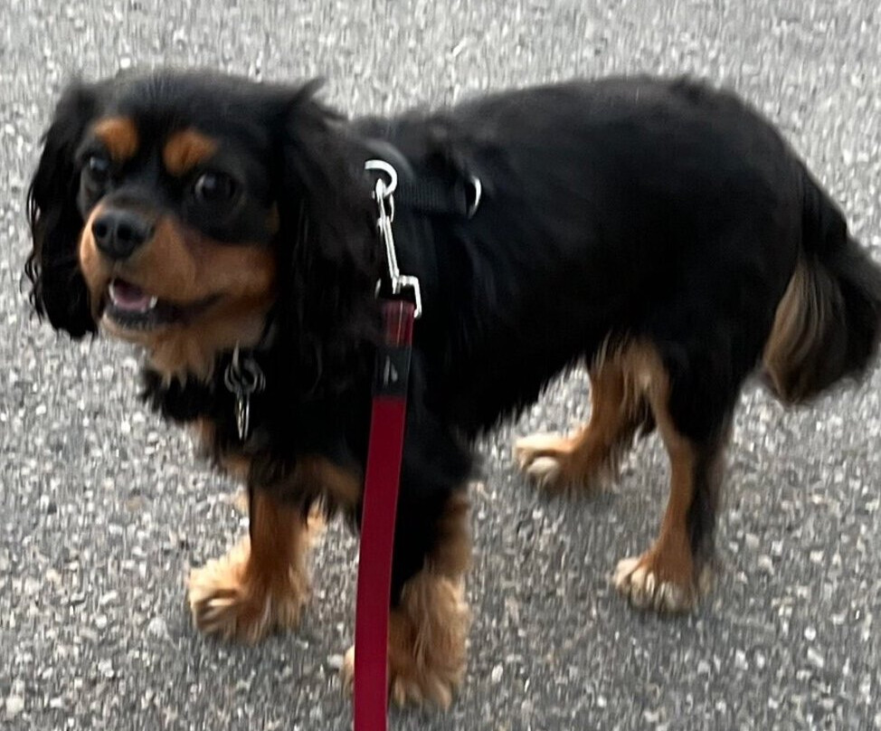 Hampton Inn By Hilton Saskatoon South主图