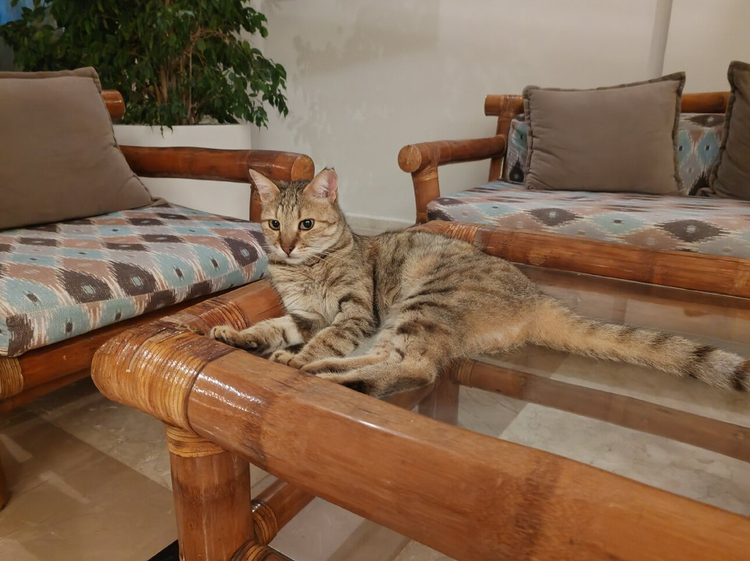 Queen's Park Le Jardin