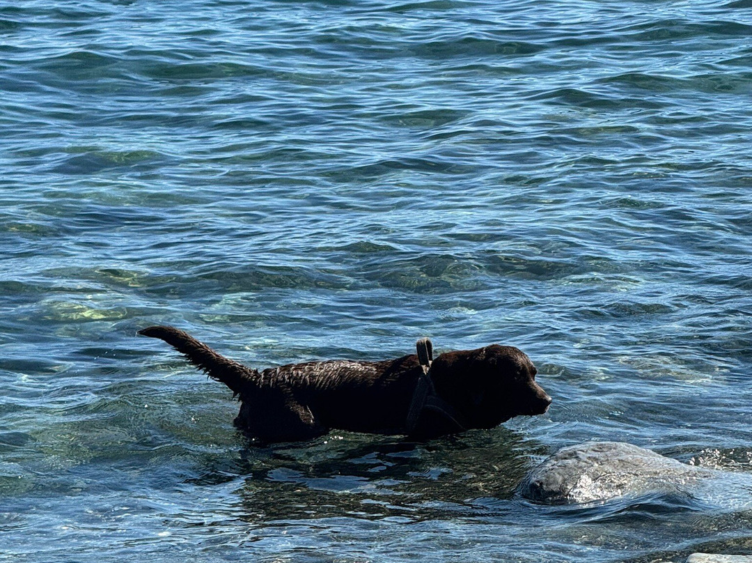 Lungomare Europa-瓦拉泽必去景点