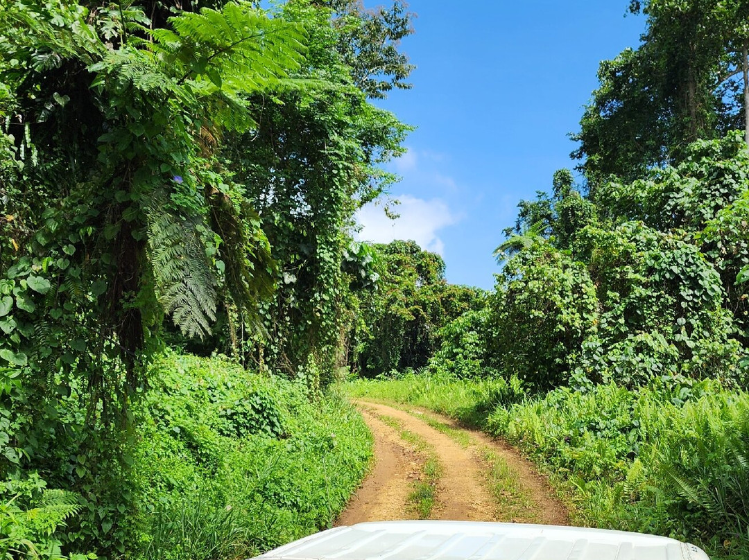 Santo Heritage Tours-卢甘维尔必去景点