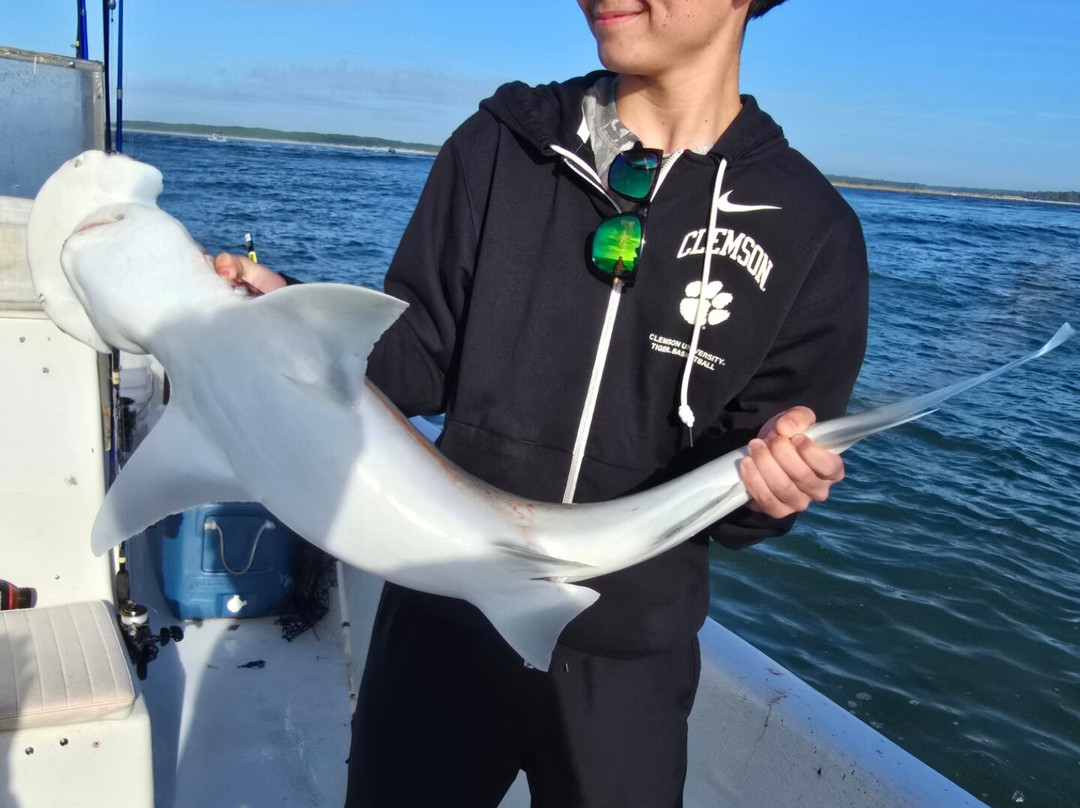 Werner Ocean Adventures LLC-美特尔海滩必去景点