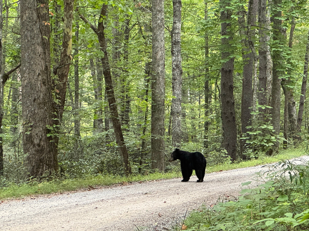 Rich Mountain Road-大雾山国家公园必去景点