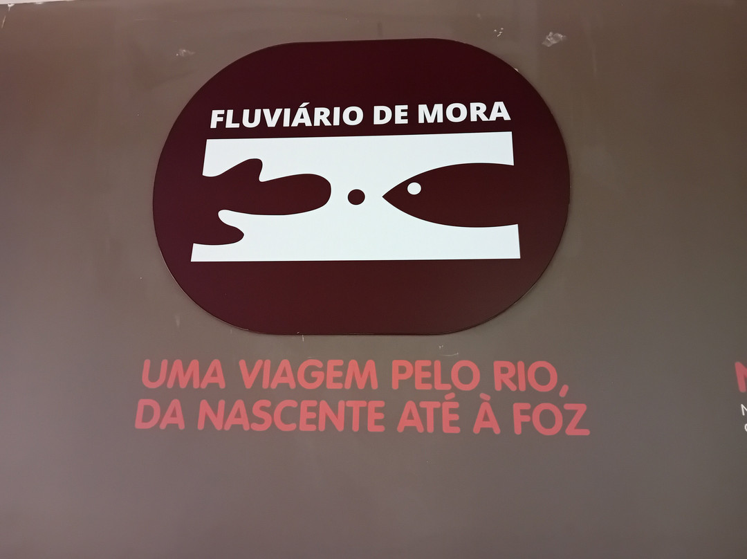 Fluviário de Mora-Cabecao必去景点