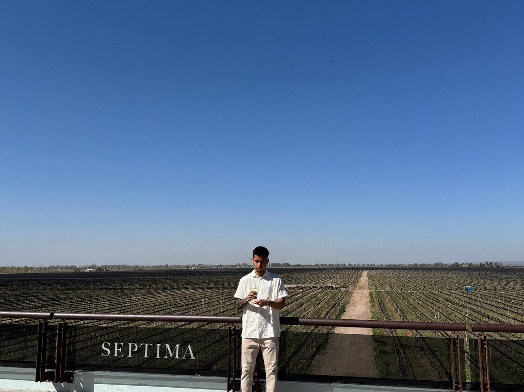 Bodega Septima-路冉得库约必去景点