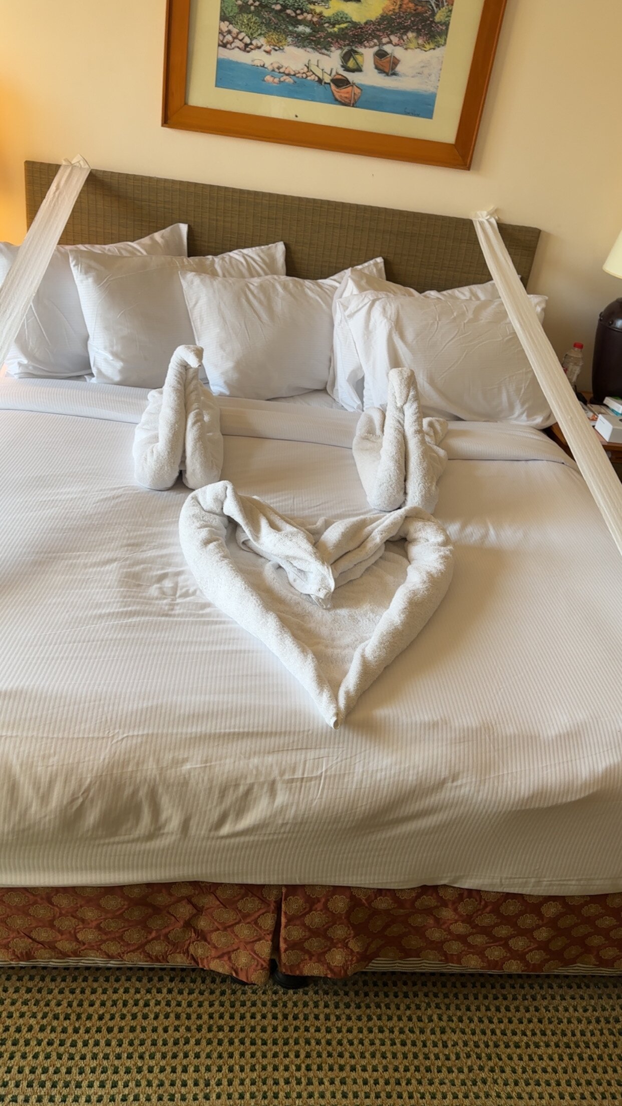 希尔顿绿色广场酒店-客卧