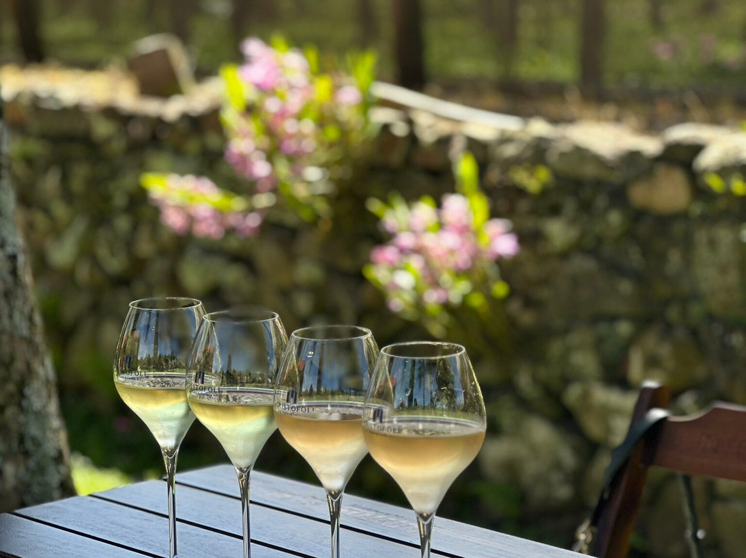 Cristofoli Vinhos de Familia-本图贡萨尔维斯必去景点