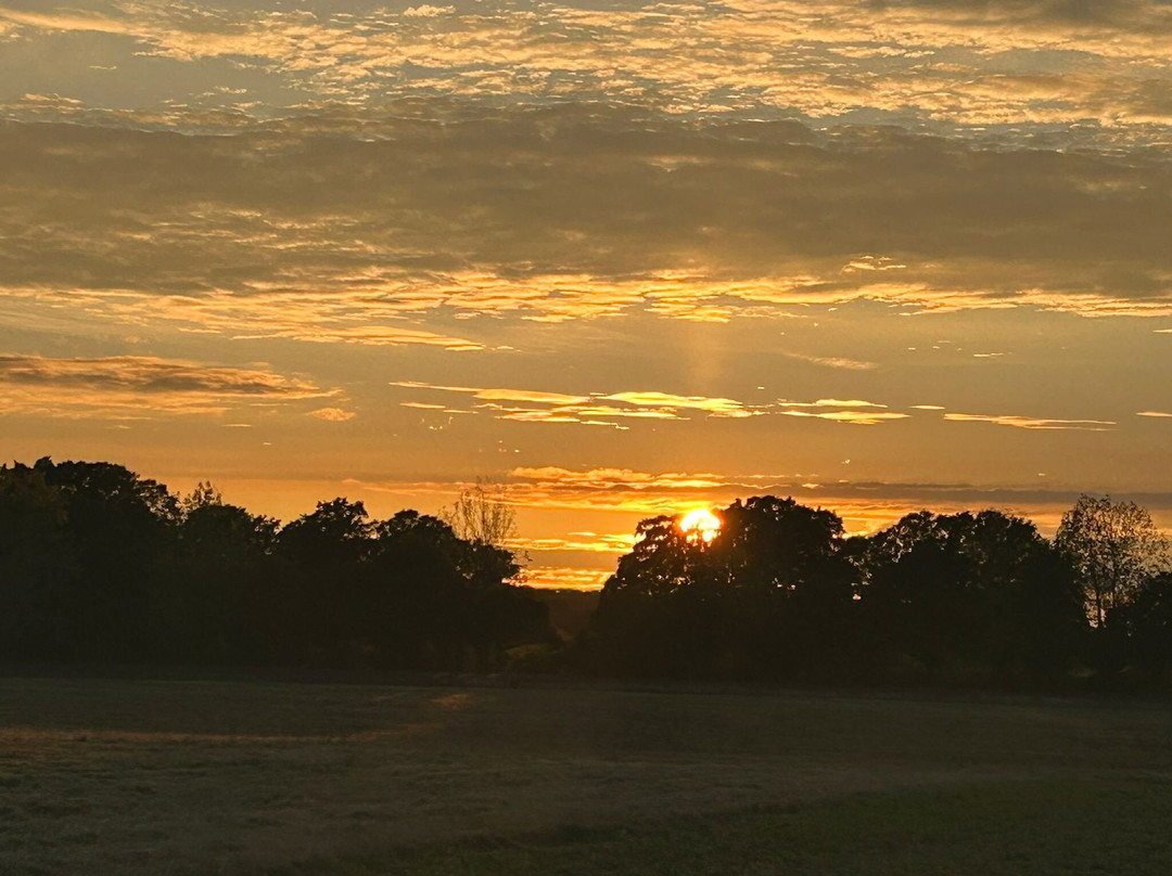 Balfour Winery-Staplehurst必去景点
