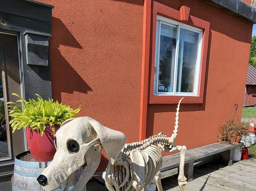 Three Dog Winery-皮克顿必去景点