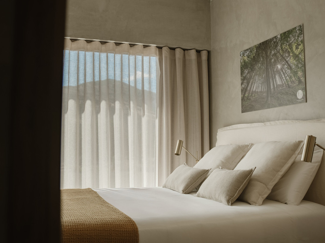 Soadro Do Zêzere主图