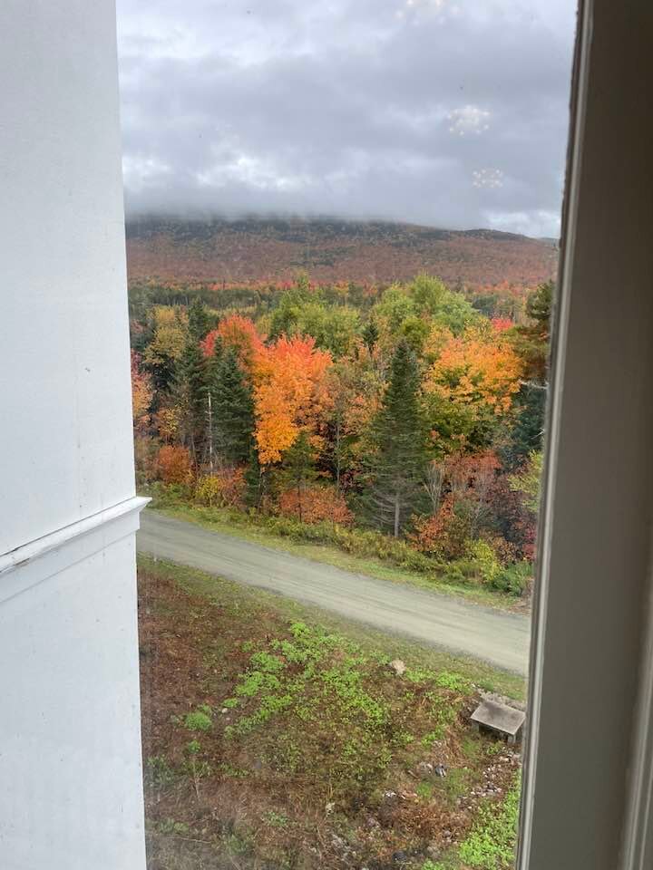 华盛顿山奥姆尼渡假酒店-酒店景观