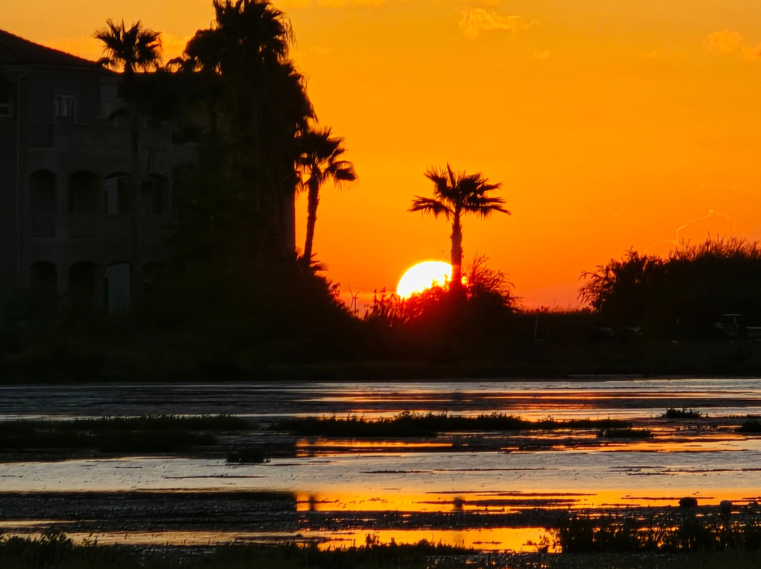 Ramada by Wyndham & Suites South Padre Island主图