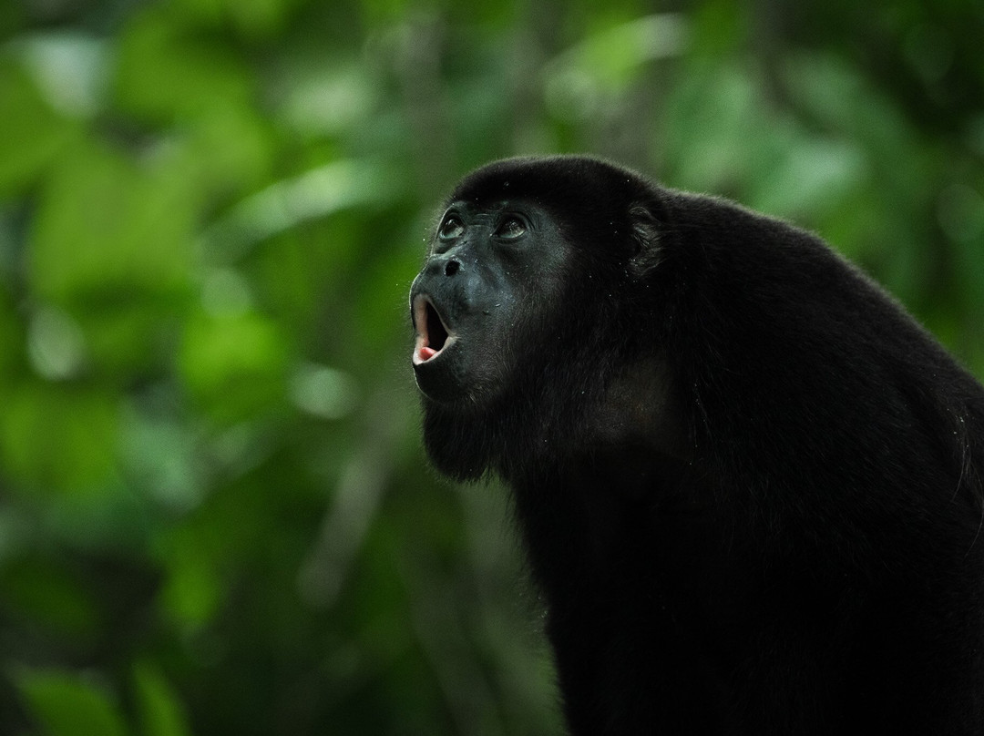 Panama Road Trips-巴拿马城必去景点