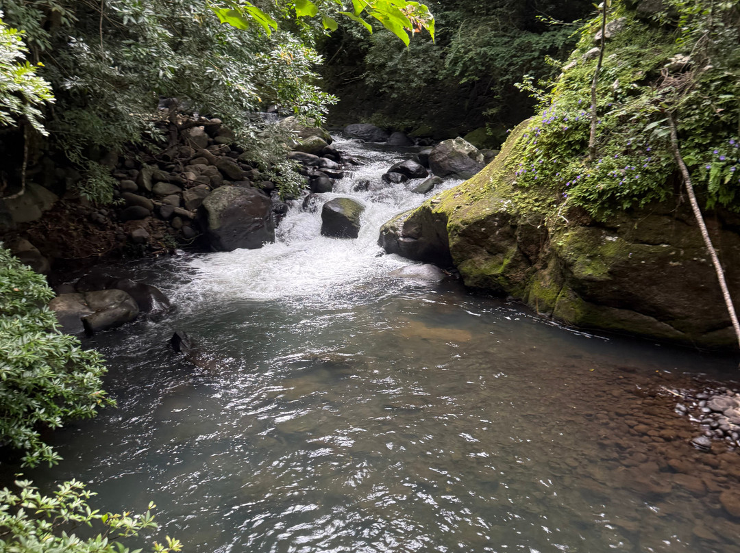 Rio Negro Hot Springs-瓜纳卡斯特自然保护区必去景点
