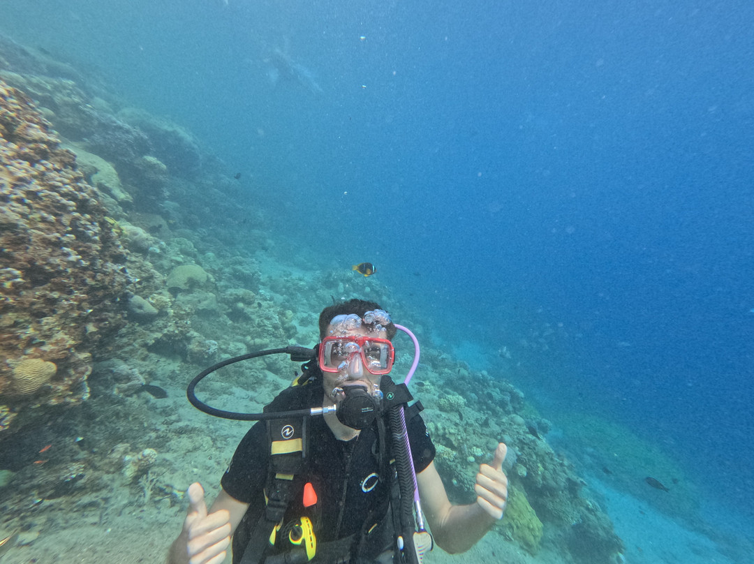 Red Sea Tribe-达哈卜必去景点