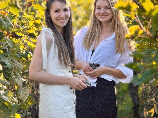 Amisulashvili Wine Cellar-Kolagi必去景点