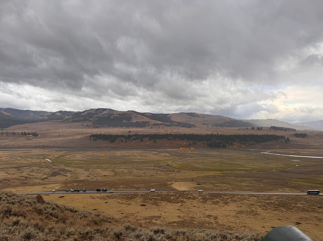 Yellowstone Wild-加德纳必去景点