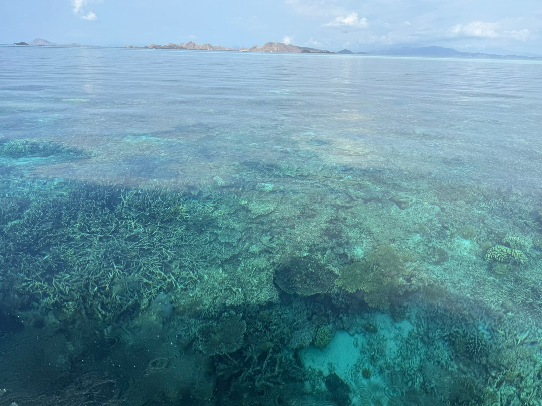 Taka Makassar Island-Labuan Bajo必去景点