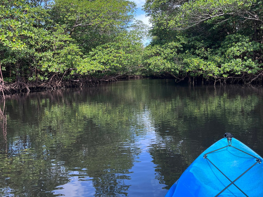 Oleta River Outdoor Center-北迈阿密海滩必去景点