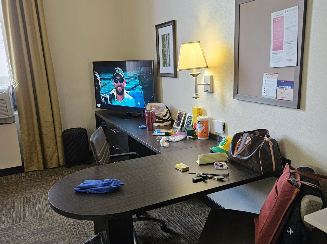 特雷霍特烛木套房酒店主图