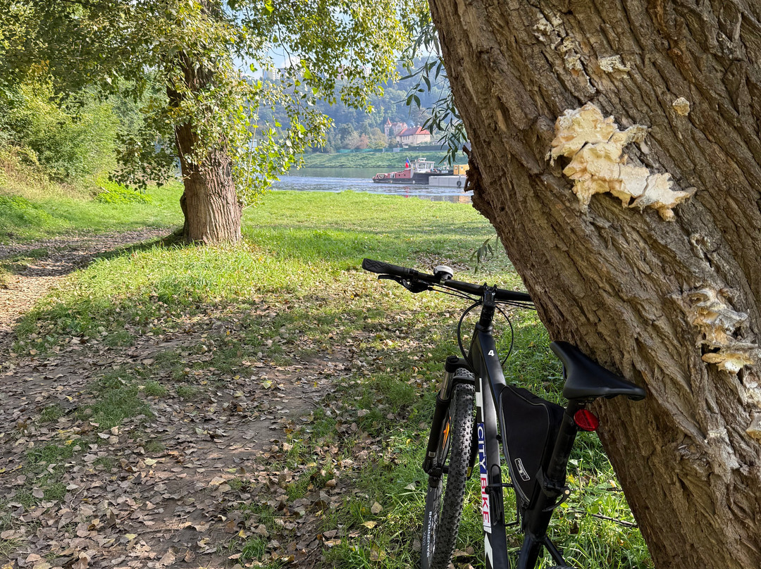 City Bike Prague-布拉格必去景点